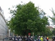 Elindult a motoros felvonulás! :)…