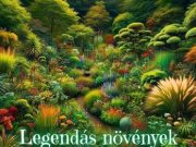 Legendás növények kvíz
