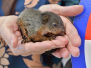 „Ön választ, mi segítünk” közösségi program újabb szentesi nyereményátadója…