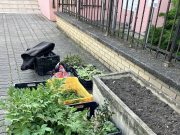 Zöldül a könyvtár. A Bartha János Kertészeti Technikum és Szakközépiskola segíts…