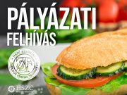 A Hódmezővásárhelyi SZC Szentesi Zsoldos Ferenc Technikum…