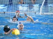 Képek a Valdor Szentes Győr bajnoki mérkőzésről. #hajráSzentes Vidovic…