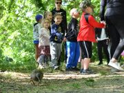 Madarak és fák napja a ligetben…