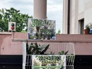 Megnyílt a növény csere-bere pontunk. Szívesen várunk felesleges növényeket, de …