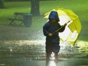 Tisztelt Mozirajongók!…