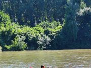 A Tiszánál zárták az évet Czirok Csaba utánpótlás edzőnk fiú csapata a Tiszáná…