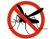 Földi szúnyoggyérítés csütörtökön…