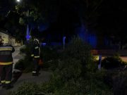 Letört egy százéves fa hatalmas ága a nyár közepén…