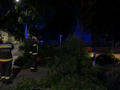 Letört egy százéves fa hatalmas ága a nyár közepén…