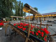 Tiszai halászlé rendel!…