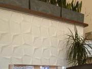 𝙑𝙄́𝙕𝙊𝙎𝙕𝙏𝙊́ 𝙋𝙊𝙉𝙏…