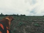 Továbbiak felfedezése a Videó funkcióban…