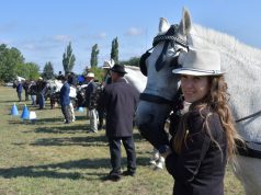 Megkezdődött a Dr. Polner Tibor Fogathajtó Emlékverseny…