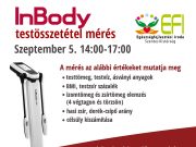 Testösszetétel mérés az EFI-ben…