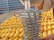 Továbbiak felfedezése a Videó funkcióban…