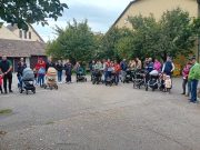 43 Új Élet Fát ajándékozott az önkormányzat az előző félévben született gyermek…