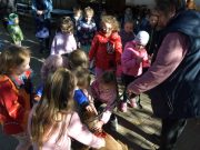 Állati barátság és tanulságok a Rákóczi utcai óvodában…