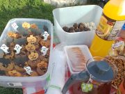 Családi nap Berekháton…