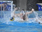 Óriási lehetőség kapujában a metALCOM…