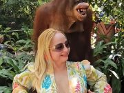 Sajnálom a meccset, de nem vagyok csalódott…