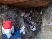 Tereptapasztalatok…