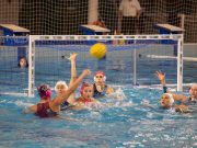 „Előrébb léptünk…”…