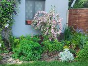 A „Virágszínvonalasabb Szentesért” városszépítő verseny eredményhirdetése…