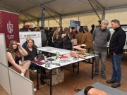 Elkezdődött a szakma simogató, a SkillFest…