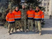 Fenyőből fényt!…