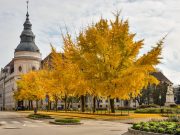 Fogadónap a város vezetőinél…