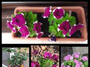 Köszönet a támogatásért!…