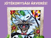 Nincs egy darab csápja sem, de nekünk mégis kedves: ezt a kismadarat Mihály Gerg…