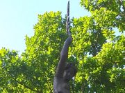 Új rejtvénysorozat…