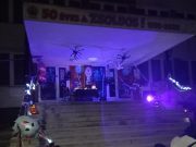 „Csokit vagy csínyt” a Zsoldosban!…