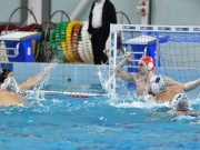 #Tippmix #MVLSZ #EON #OBI #MetalcomSzentes #SzolnokiDózsaPraktiker…