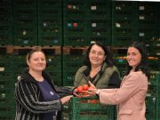 Délkertész Hősök…