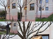 Könyvtárunk parkjában madáretető várja az éhes, megfáradt madarakat….