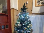 Megérkezett a karácsonyfa a Zsoldos A illetve B épületébe….