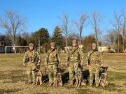 Négylábú bajtársak az EUFOR misszióban…