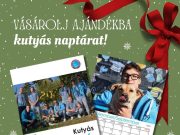 Szívügyünk az állatmentés…