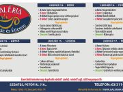 A Galéria Kávéház és Étterem aktuális menüje január 13-17-ig….