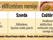 A Központi Konyha aktuális előfizetéses menüje január 13-tól 17-ig….