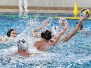 Hétközi bajnoki a Vasas ellen…