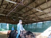 A gondozási központ nappali pszichiátriai ellátó egysége…