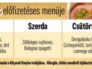A központi konyha előfizetéses menüje….