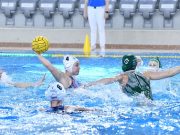 Beszámoló a VALDOR SZENTES FTC-TELEKOM találkozóról….