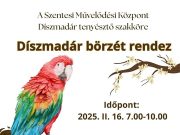 Díszmadár Börze Szentesen!…