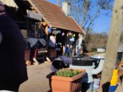 Pillanatképek az Antal-tóról, ahol éppen zajlik a Hagyományőrző Nemzetközi Diszn…