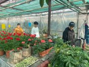 7. Zöld böjt projekt…