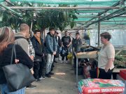 8. „Zöld böjt” program a Zsoldosban…